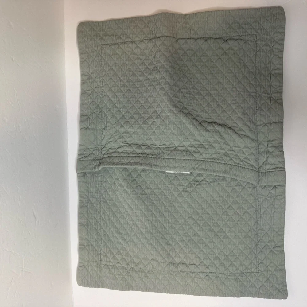 Restoration Hardware Pillowcases Toddler Size